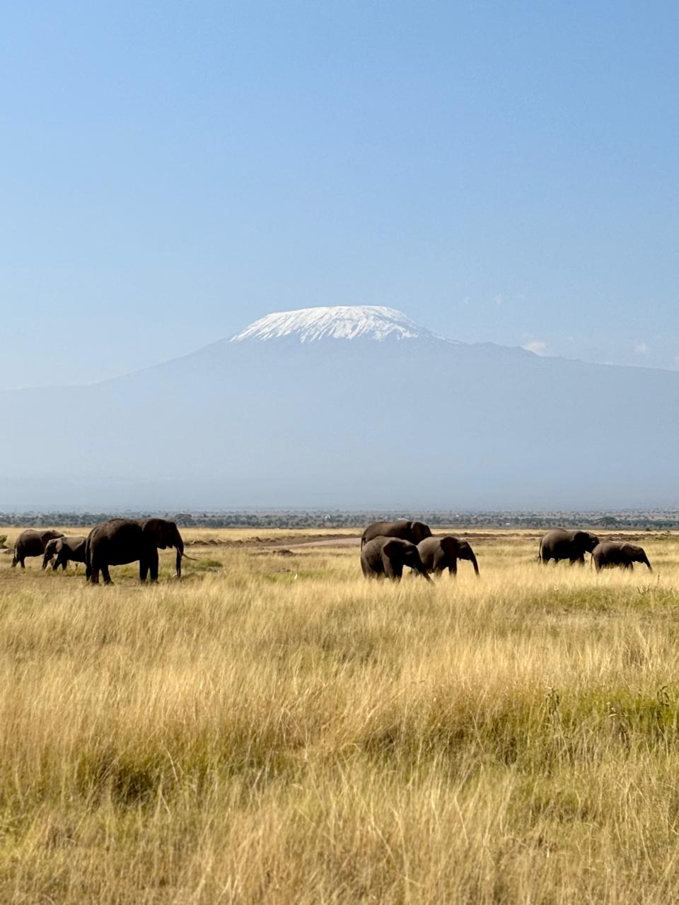 Amboseli & Tsavo West