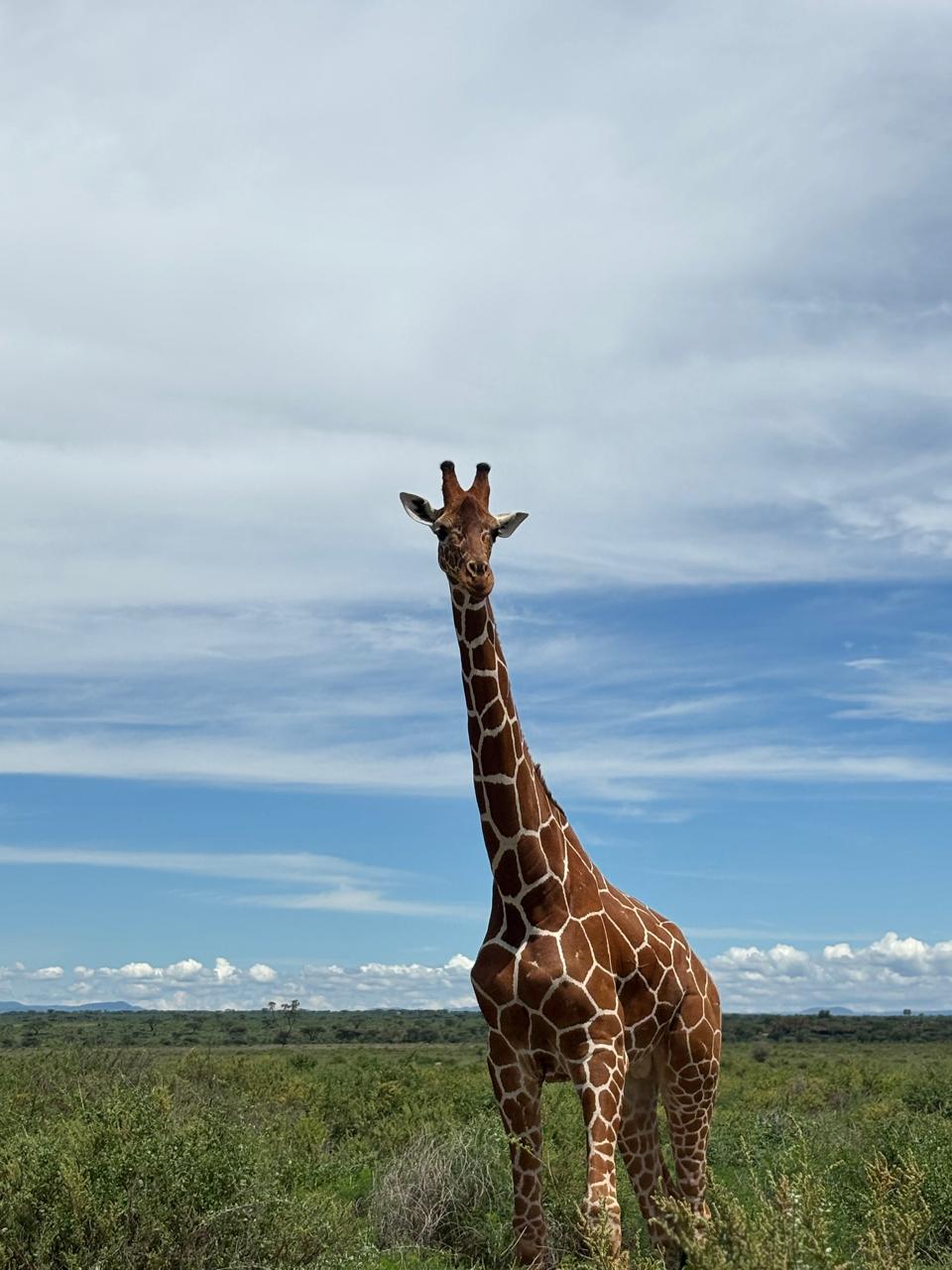 Wildlife photo from Explore Watamu Tours