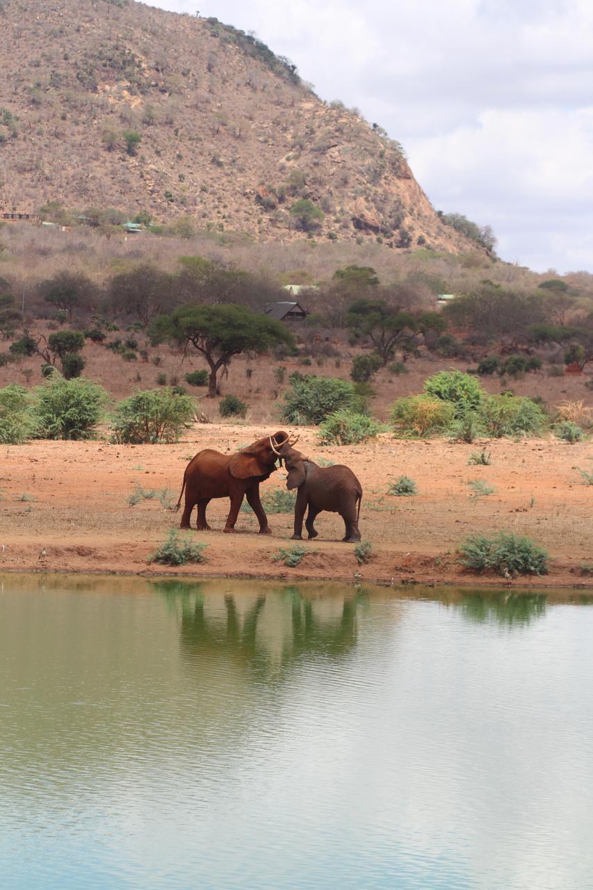 Tsavo East National Park