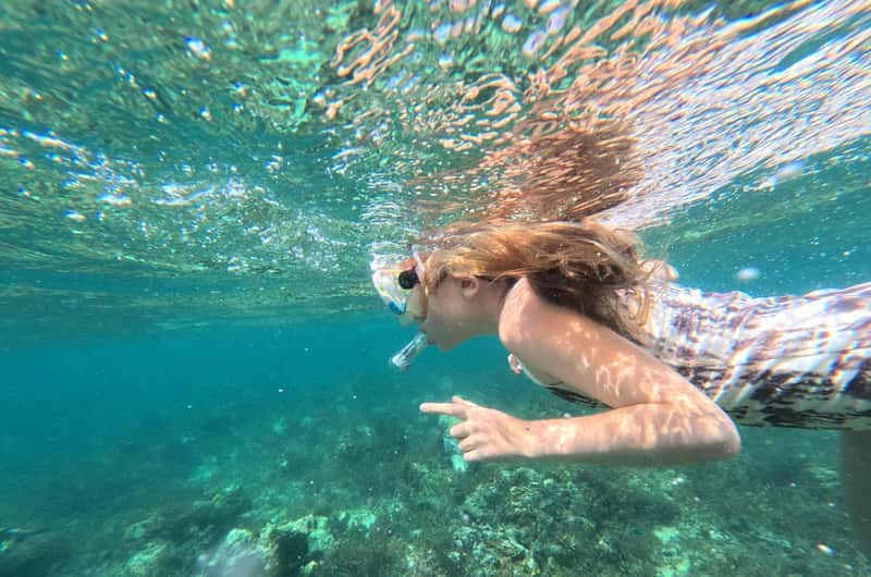 Swimming the Natural Aquarium
