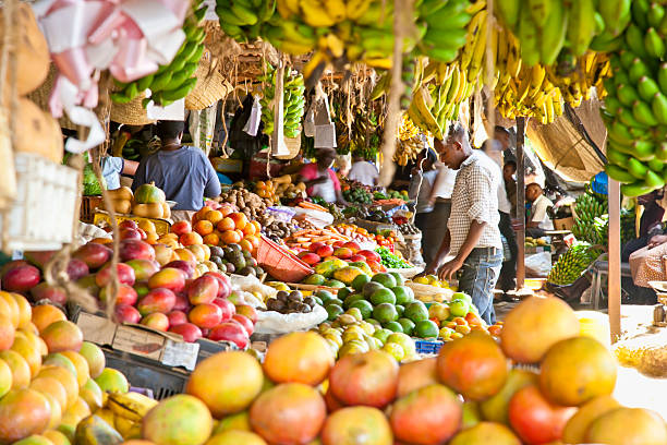 Malindi Tour photo 3