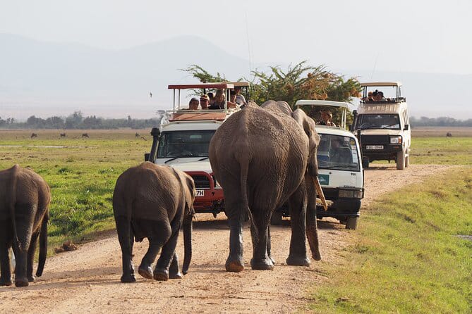 2 Days / 1 Night Safari – Tsavo East National Park