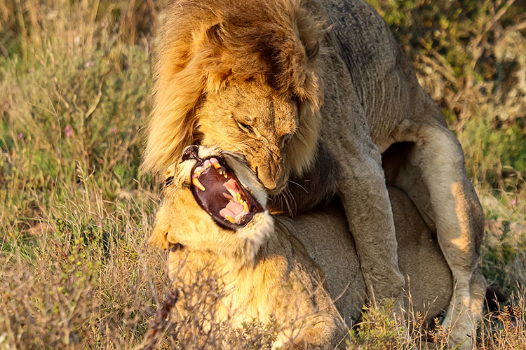 Taita Hills Wildlife Sanctuary