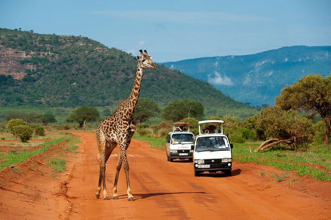 Discovering Tsavo East
